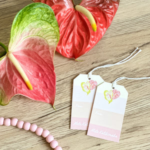 Pastel Anthurium Gift Tags - Set of 5