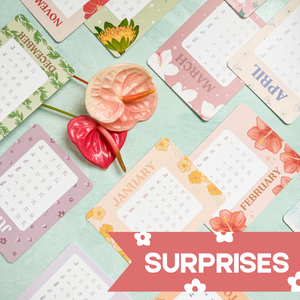 2025 Lucky Bag ($50+ Value)