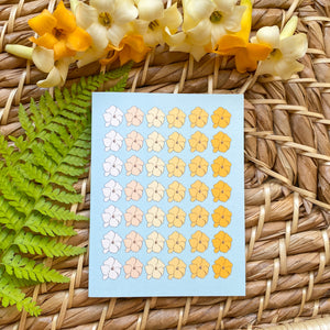 Puakenikeni Card Set