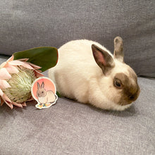 Load image into Gallery viewer, Boba Bunny’s Floral Sticker