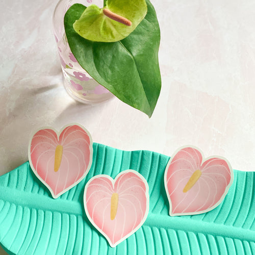 Pink Anthurium - Clear Sticker