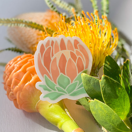 Protea Sticker