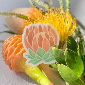 Protea Sticker