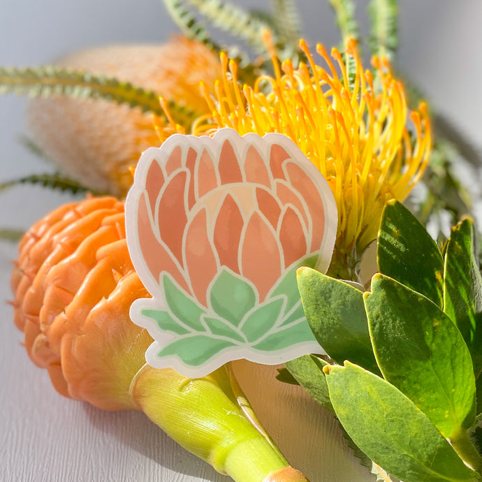 Protea Sticker