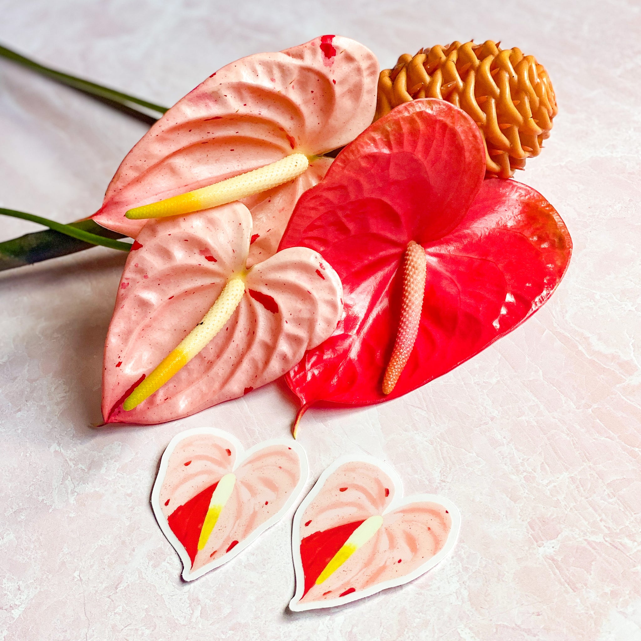 shibori anthurium Shibori Anthurium