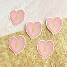 Load image into Gallery viewer, Pink Anthurium - Clear Sticker