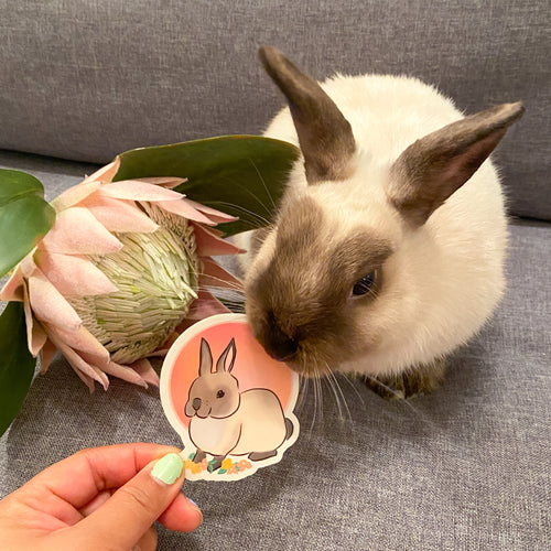 Boba Bunny’s Floral Sticker